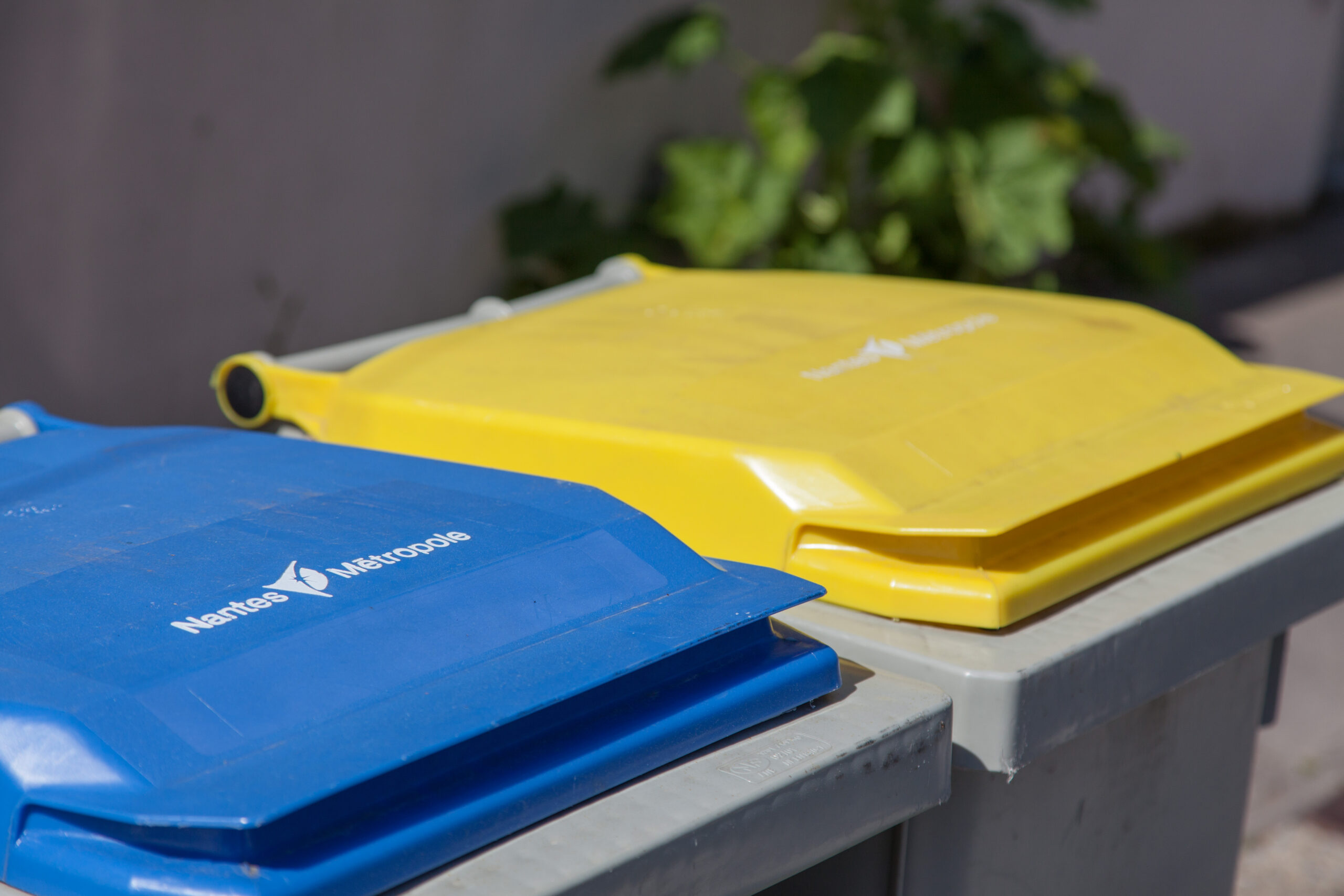 Poubelles bleue et jaune pour le tri des déchets ménagers